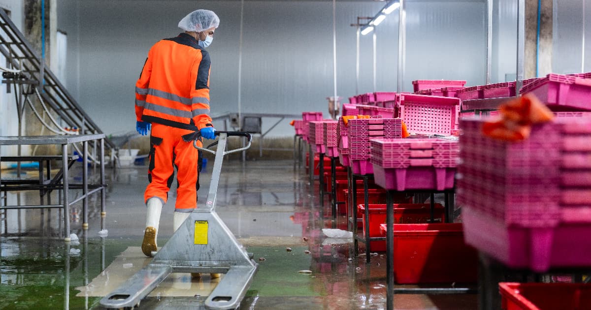 Why Outsourcing Sanitation Services Is a Smart Move for Food Warehouses