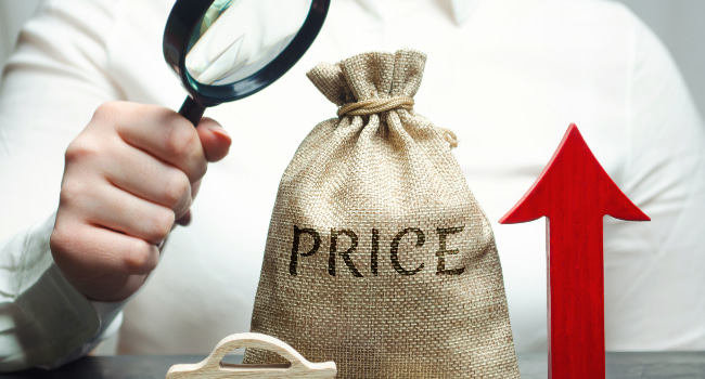 Beginner’s Guide to Cutting Labor Costs with Economical Travel Rates and Flexible Pricing