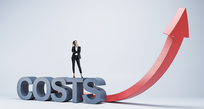 Flexibility, Risk Mitigation, and Cost Predictability​